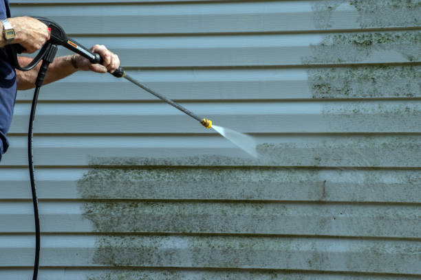Local Pressure Washing Services in Palm Springs, FL