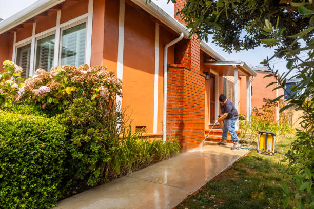 Best Affordable Pressure Washing  in Palm Springs, FL